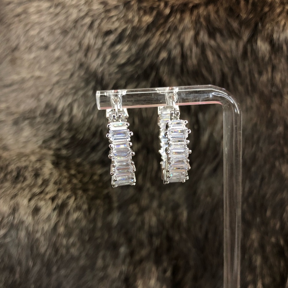 Elegant Silver Earrings